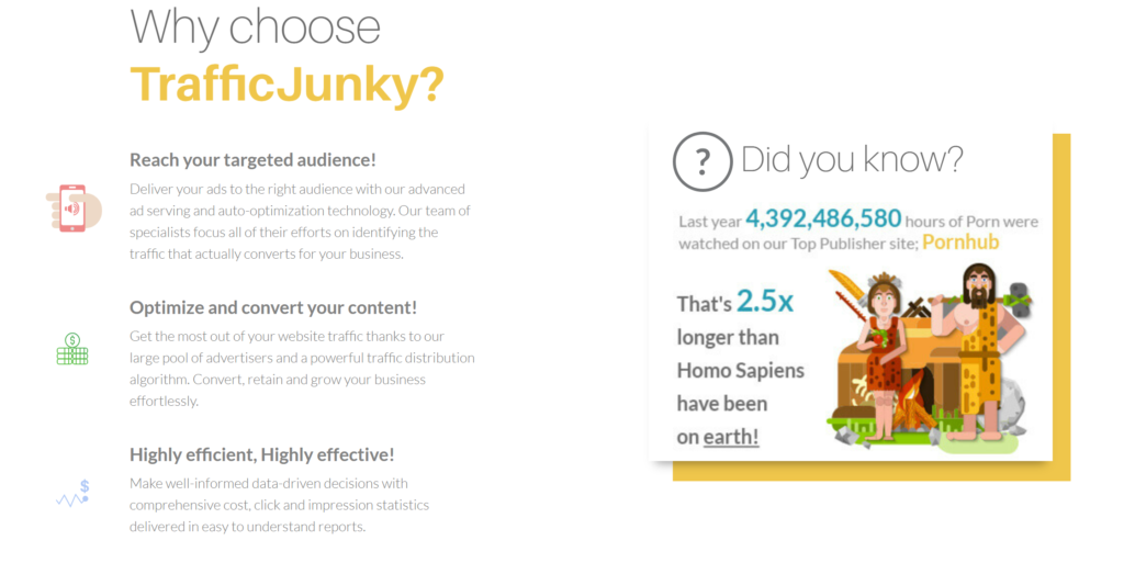 Why choose Traffic Junky
Advantages of Traffic Junky advertising network